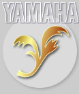 Yamaha FG-410-12A