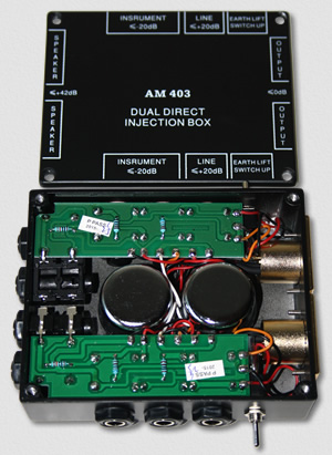 AM 403 Dual DI Box
